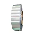 Titanium strip anti-corrosion foil